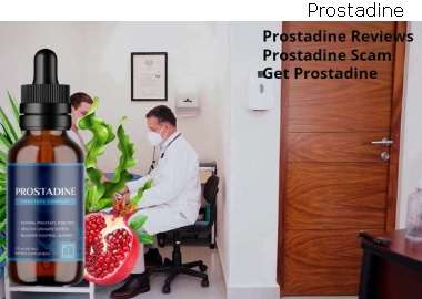 Prostadine Main Ingredients